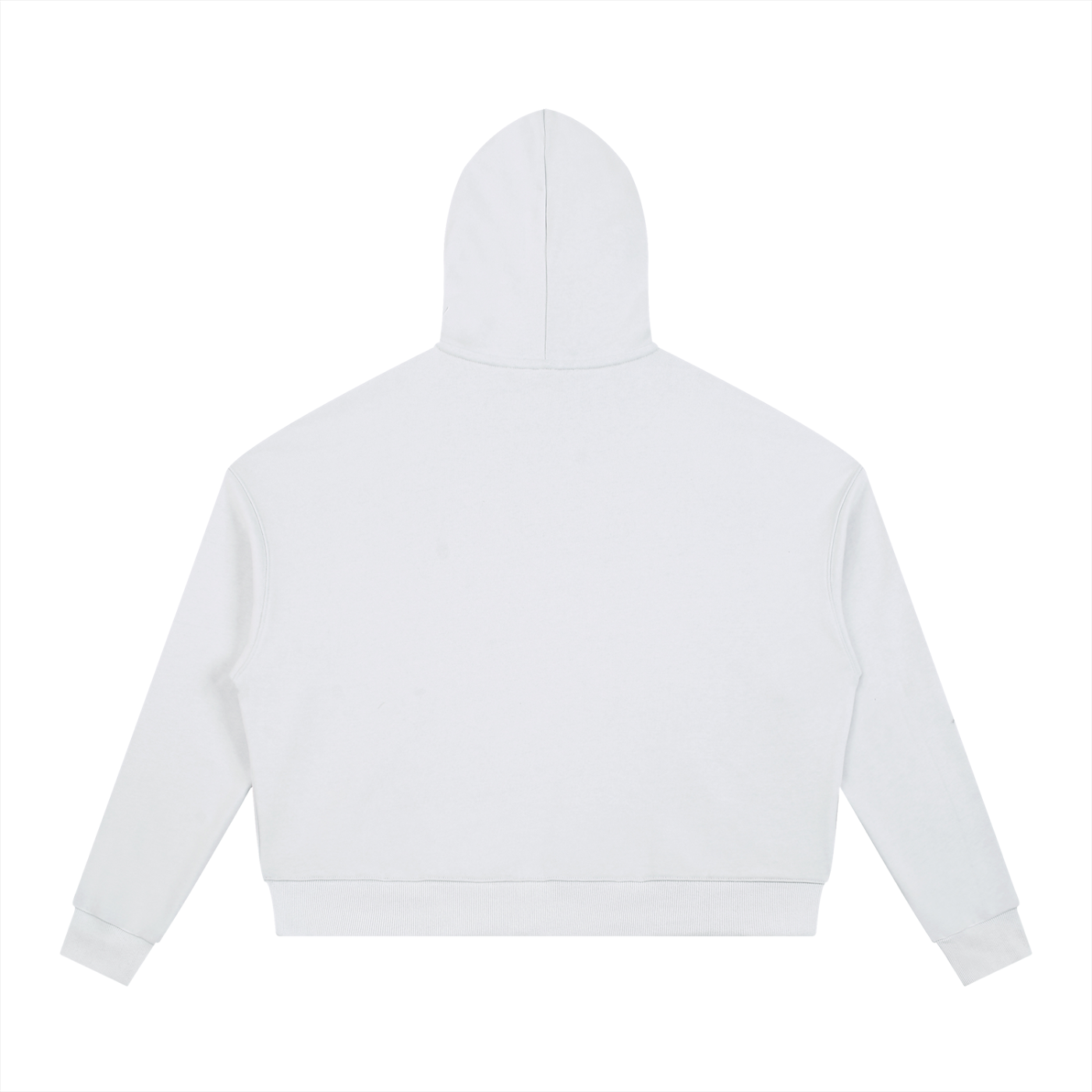 oversize,unisex,hoodies,thick,sweatshirts,men ,women