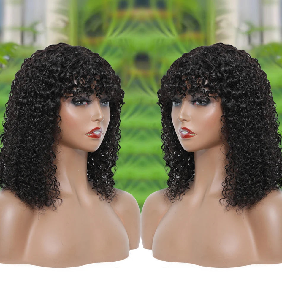 Human Hair Wigs Curly, Kinky